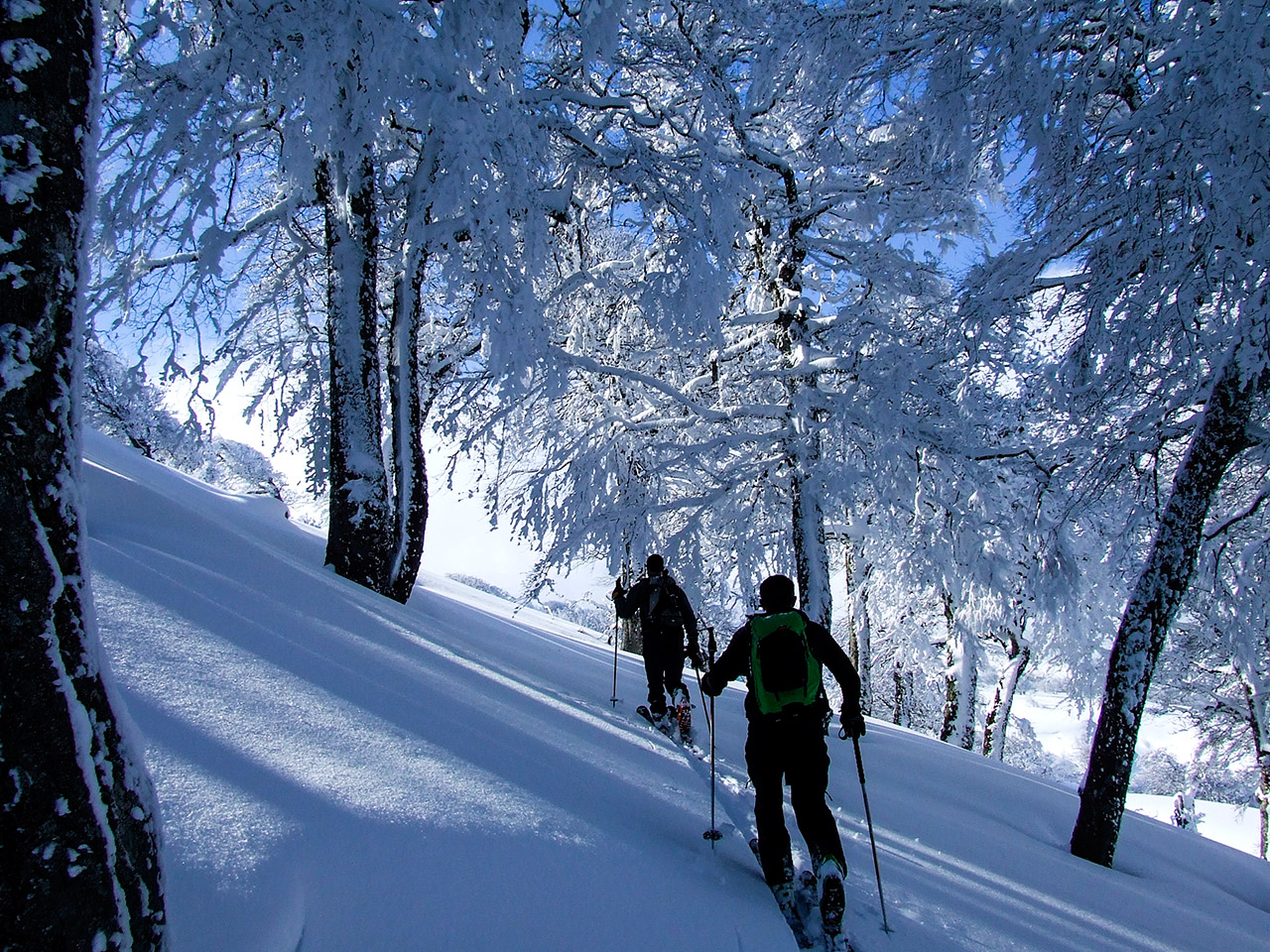 ski-randonne-journee-alpa-corse-01